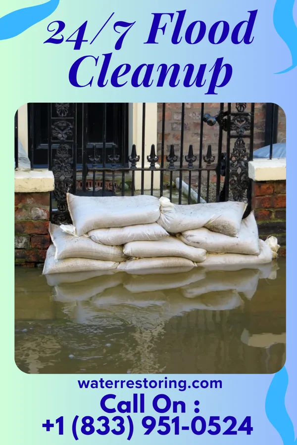 24/7 Flood Cleanup in Mill Neck, NY