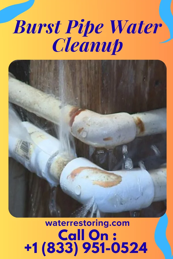 Burst Pipe Water Cleanup in Mill Neck, NY