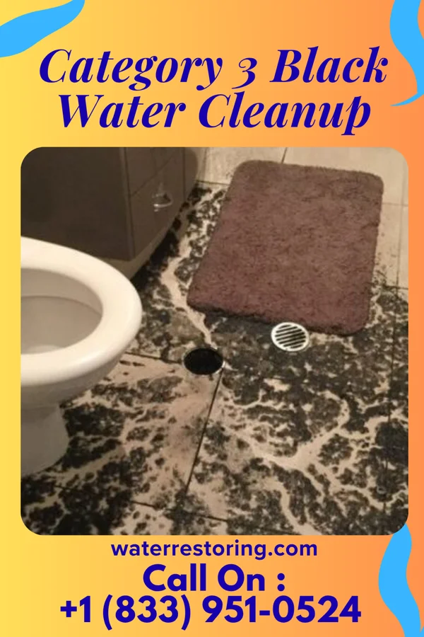 Category 3 Black Water Cleanup in Mill Neck, NY