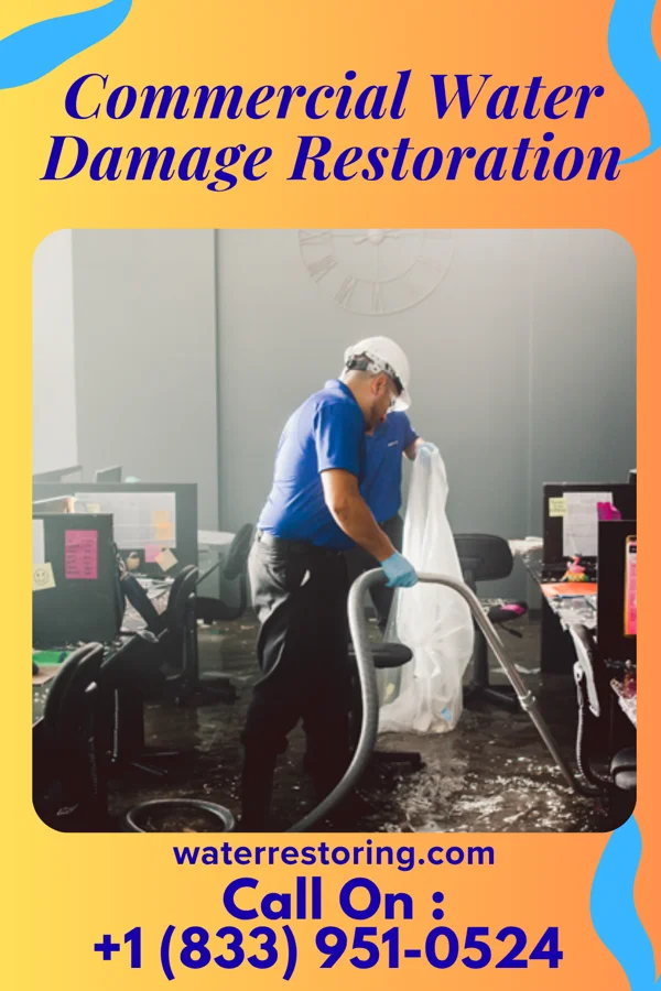 Commercial Water Damage Restoration in Mill Neck, NY