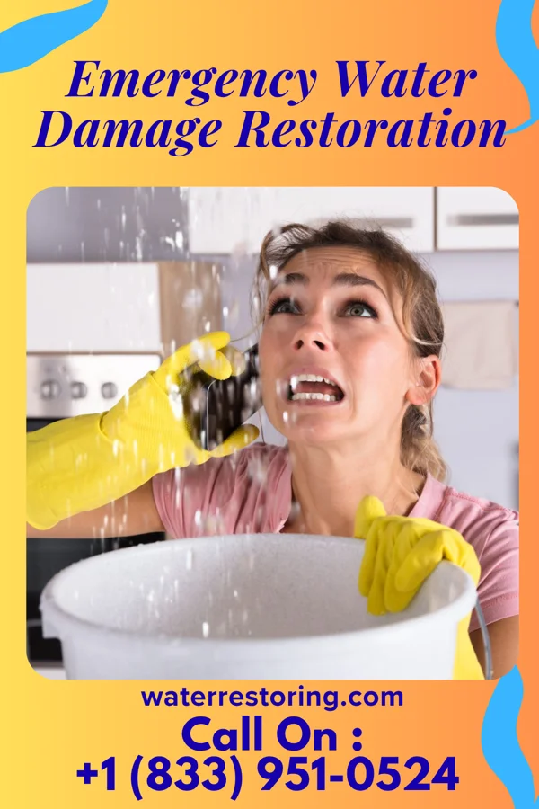 Emergency Water Damage Restoration in Mill Neck, NY