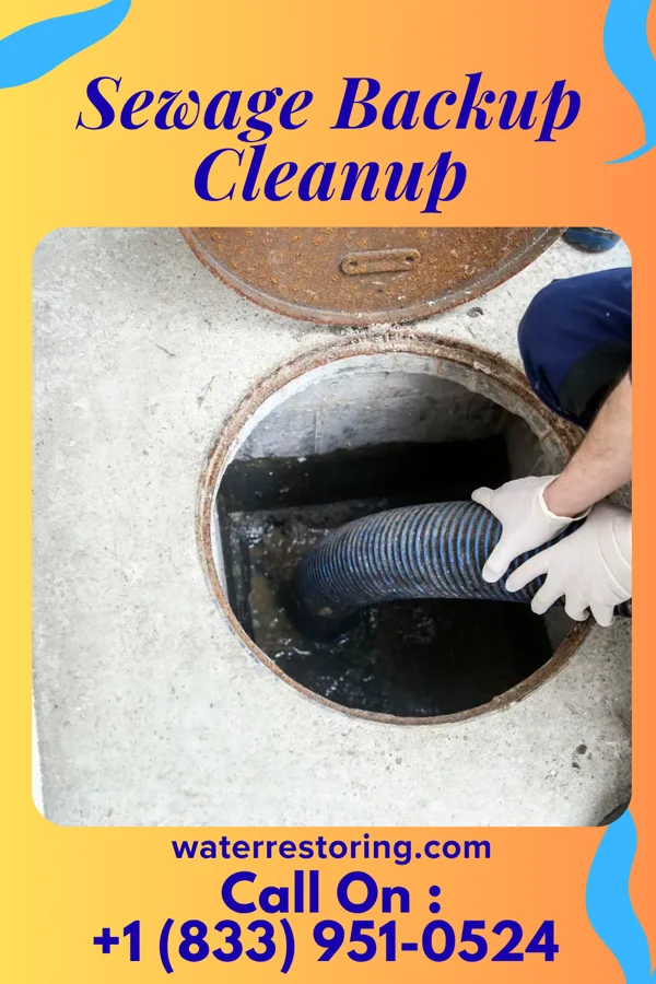 Sewage Backup Cleanup in Mill Neck, NY