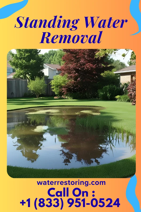 Standing Water Removal in Mill Neck, NY